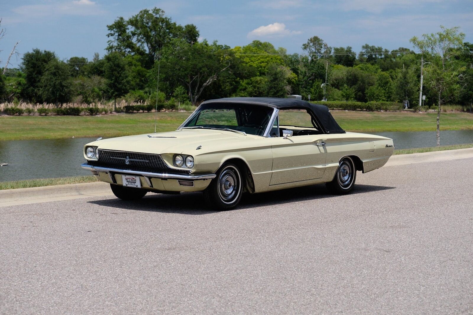 Ford-Thunderbird-1966-2-Door-19