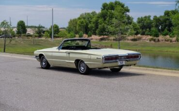 Ford-Thunderbird-1966-2-Door-3