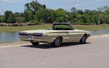 Ford-Thunderbird-1966-2-Door-5