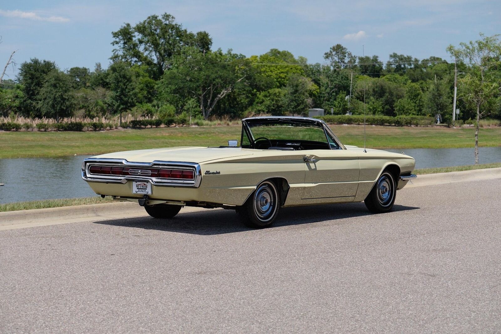 Ford-Thunderbird-1966-2-Door-5