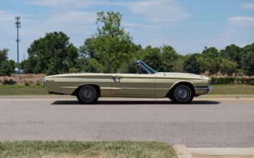 Ford-Thunderbird-1966-2-Door-6