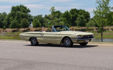 Ford-Thunderbird-1966-2-Door-8