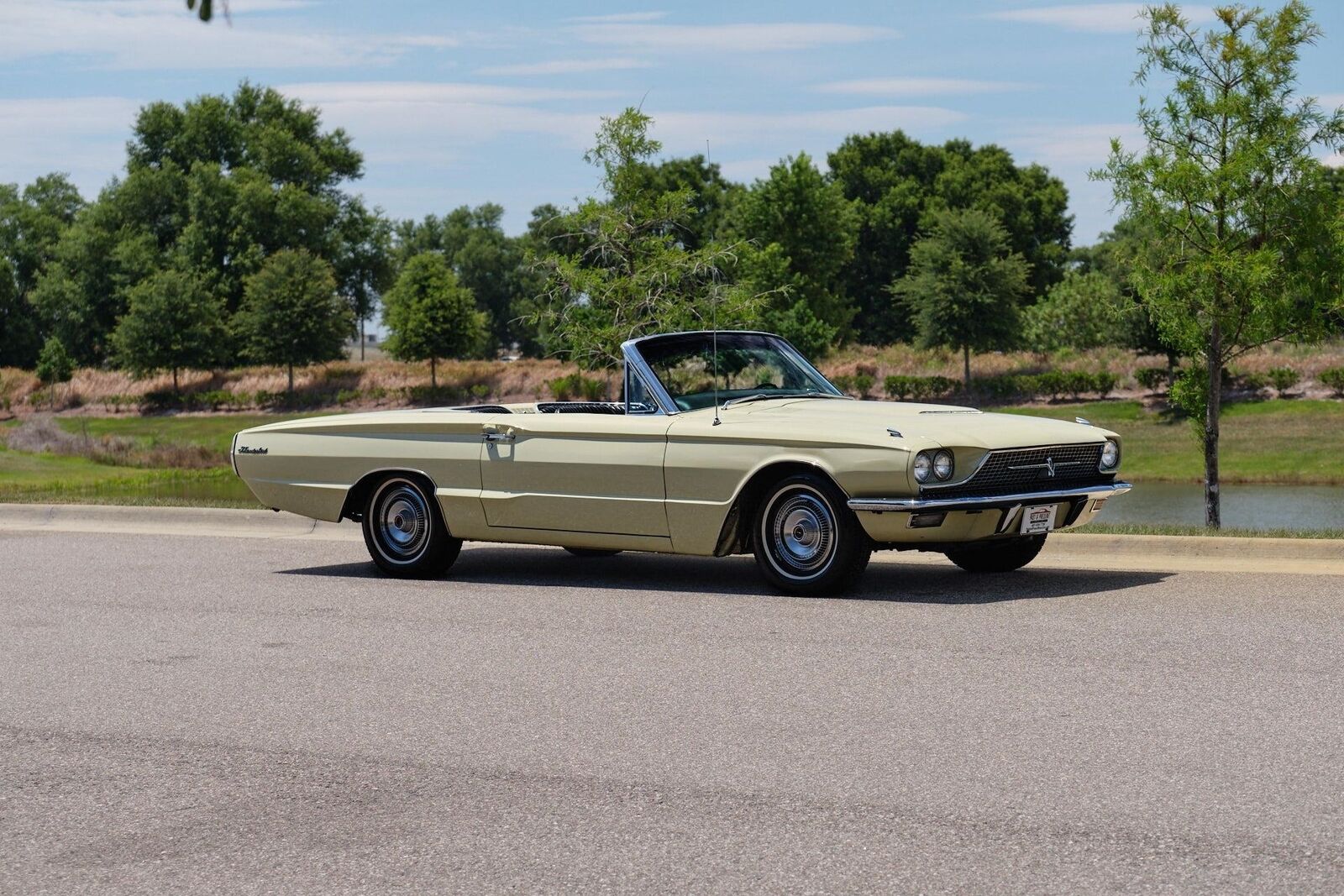 Ford-Thunderbird-1966-2-Door-8