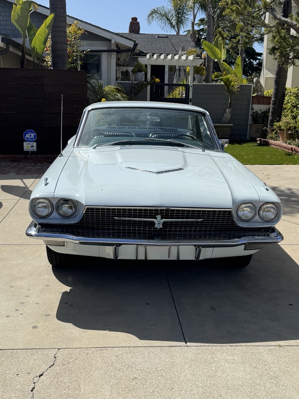 Ford Thunderbird 1966