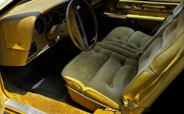 Ford-Thunderbird-1976-yellow-10