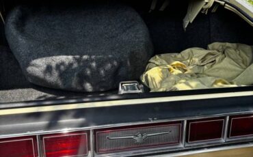 Ford-Thunderbird-1976-yellow-13