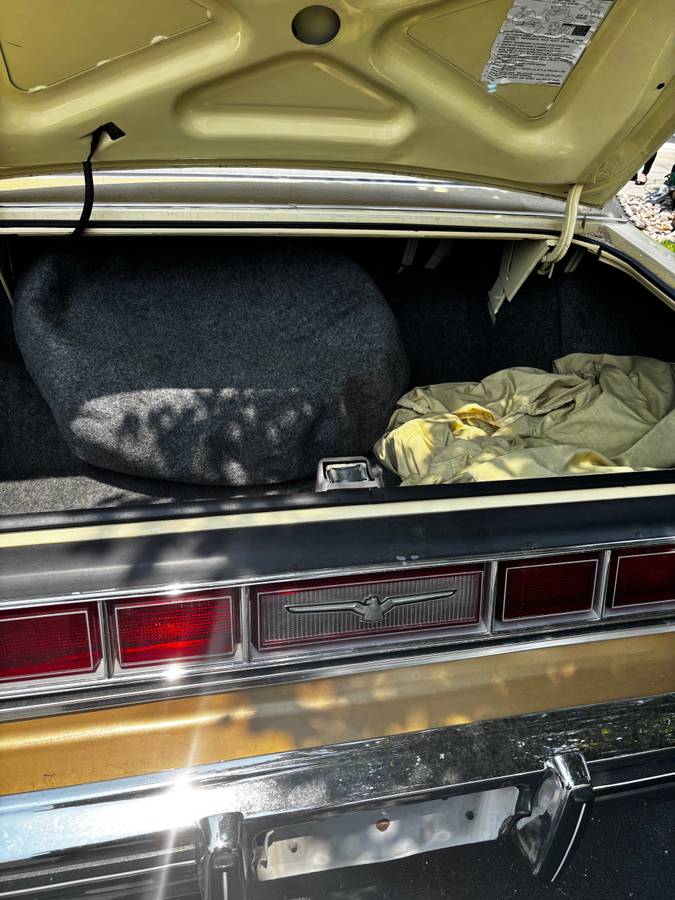 Ford-Thunderbird-1976-yellow-13