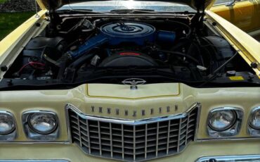 Ford-Thunderbird-1976-yellow-5