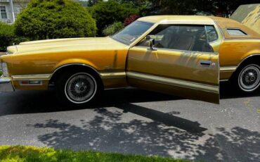 Ford-Thunderbird-1976-yellow-6