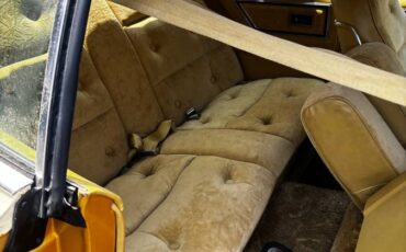 Ford-Thunderbird-1976-yellow-8
