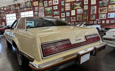 Ford-Thunderbird-1978-custom-5