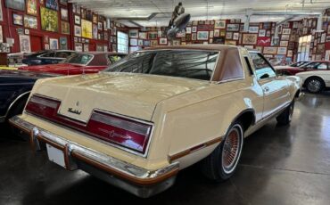 Ford-Thunderbird-1978-custom-6