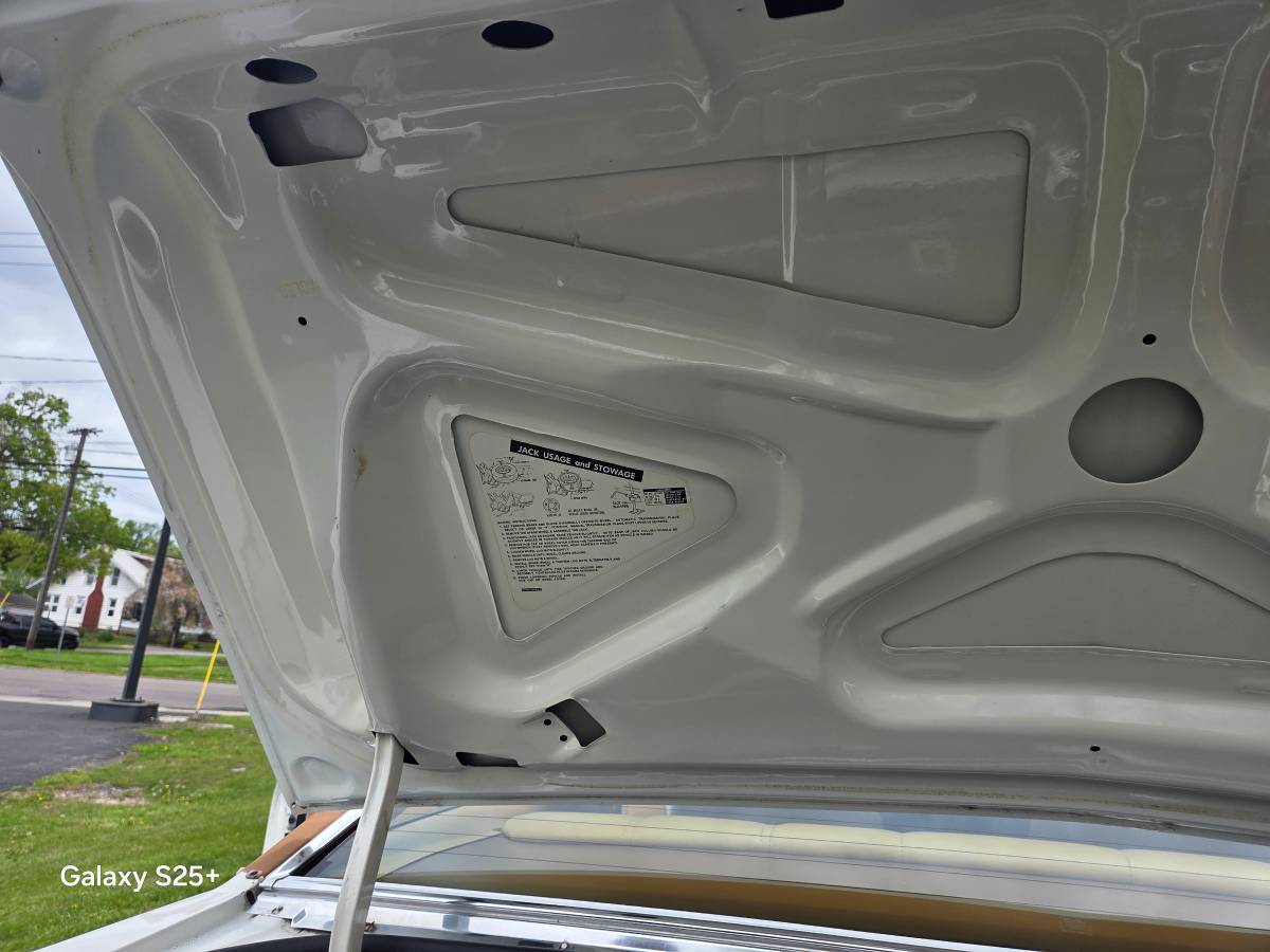Ford-Thunderbird-1979-white-12