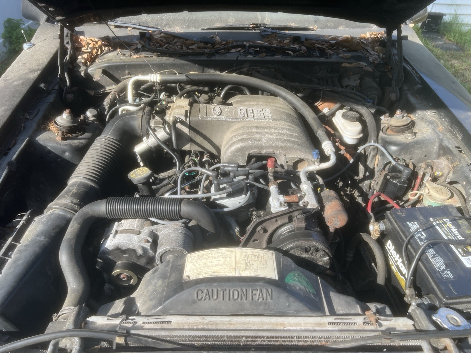 Ford-Thunderbird-1988-Sedan-2