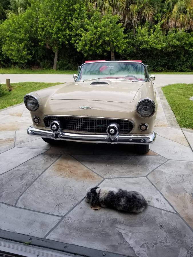Ford-Thunderbird-convertible-1955-custom-10