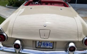 Ford-Thunderbird-convertible-1955-custom-2