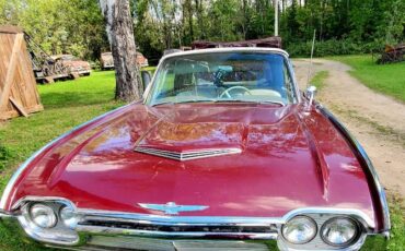 Ford-Thunderbird-convertible-1961-5