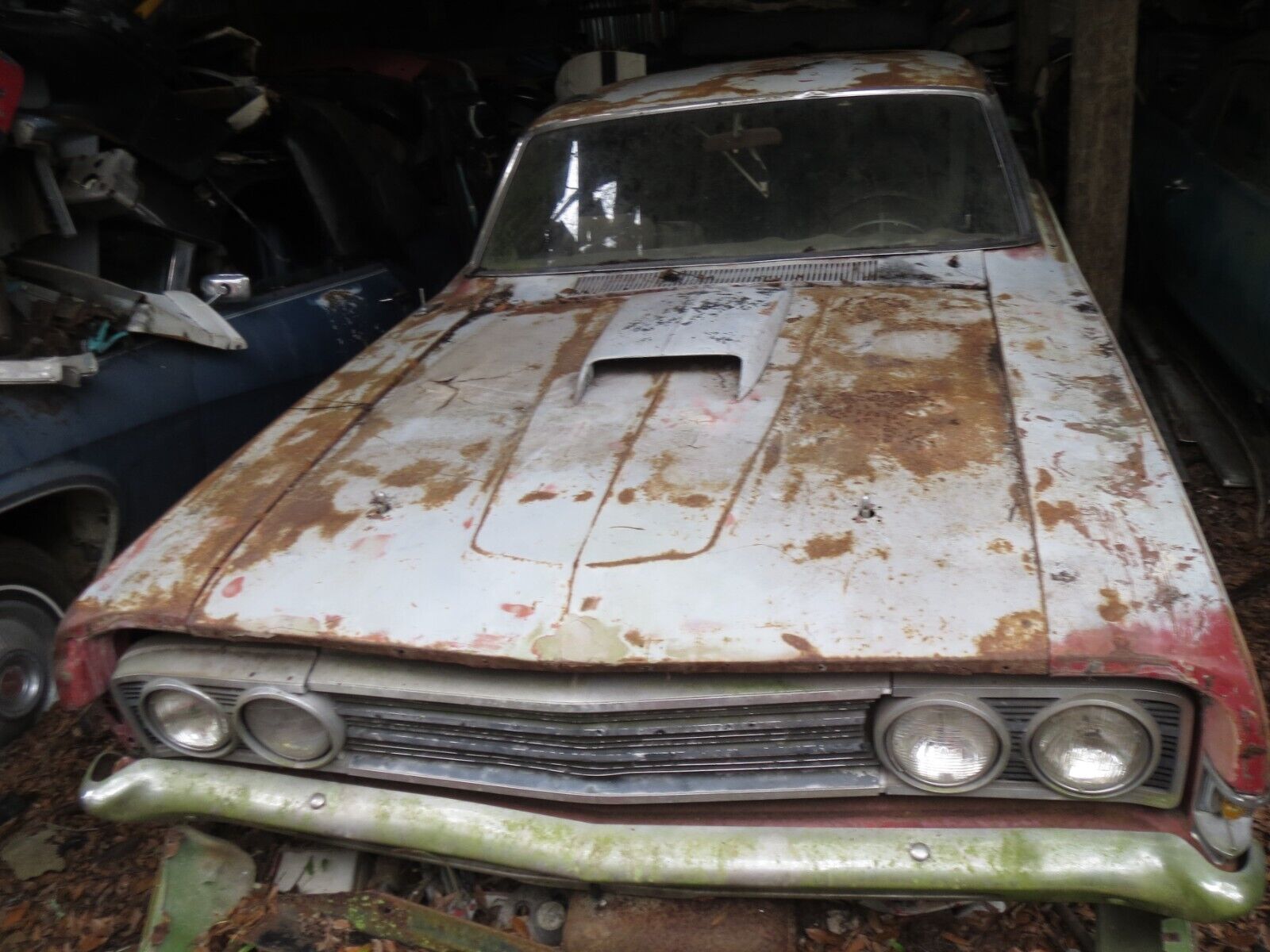 Ford-Torino-1969-Fastback-5