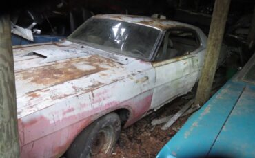 Ford-Torino-1969-Fastback-6