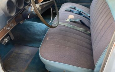Ford-Torino-Squire-390-Wagon-1969-Wagon-26