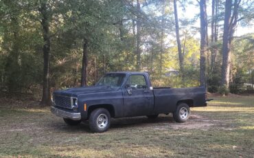 GMC-C15-1978-Standard-Cab-Pickup-2