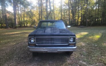 GMC-C15-1978-Standard-Cab-Pickup-3