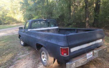 GMC-C15-1978-Standard-Cab-Pickup-4