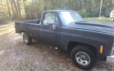 GMC-C15-1978-Standard-Cab-Pickup-5