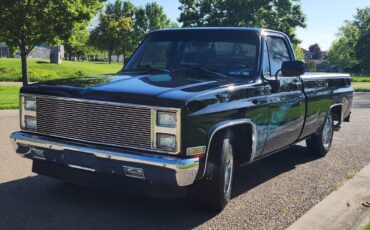 GMC-Sierra-1500-1981-Cab-Chassis-1