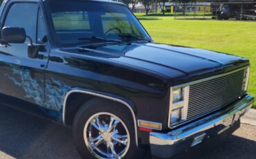 GMC-Sierra-1500-1981-Cab-Chassis-2