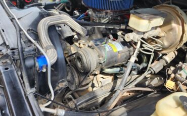GMC-Sierra-1500-1981-Cab-Chassis-24