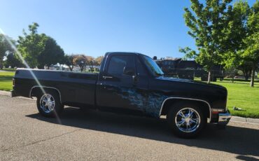 GMC-Sierra-1500-1981-Cab-Chassis-3