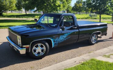 GMC-Sierra-1500-1981-Cab-Chassis-4