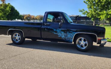 GMC-Sierra-1500-1981-Cab-Chassis-5