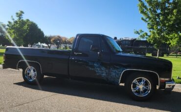 GMC-Sierra-1500-1981-Cab-Chassis-6