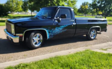 GMC-Sierra-1500-1981-Cab-Chassis-9