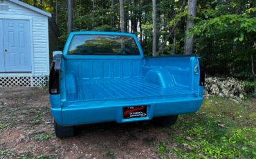 GMC-Sierra-1500-1992-Standard-Cab-Pickup-19