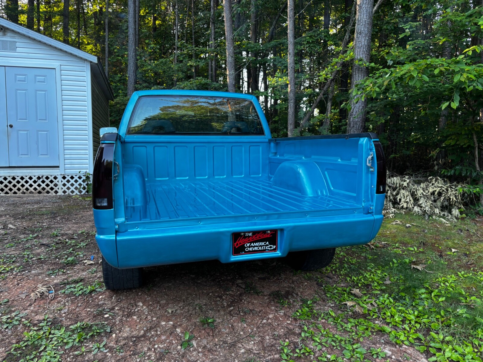 GMC-Sierra-1500-1992-Standard-Cab-Pickup-19