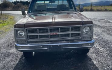 GMC-Sierra-1979-3
