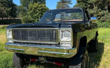 GMC-Sierra-1979-3