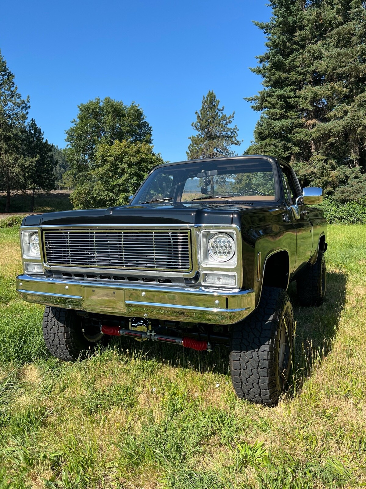 GMC-Sierra-1979-3