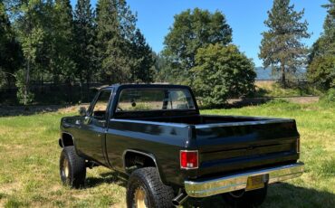 GMC-Sierra-1979-4