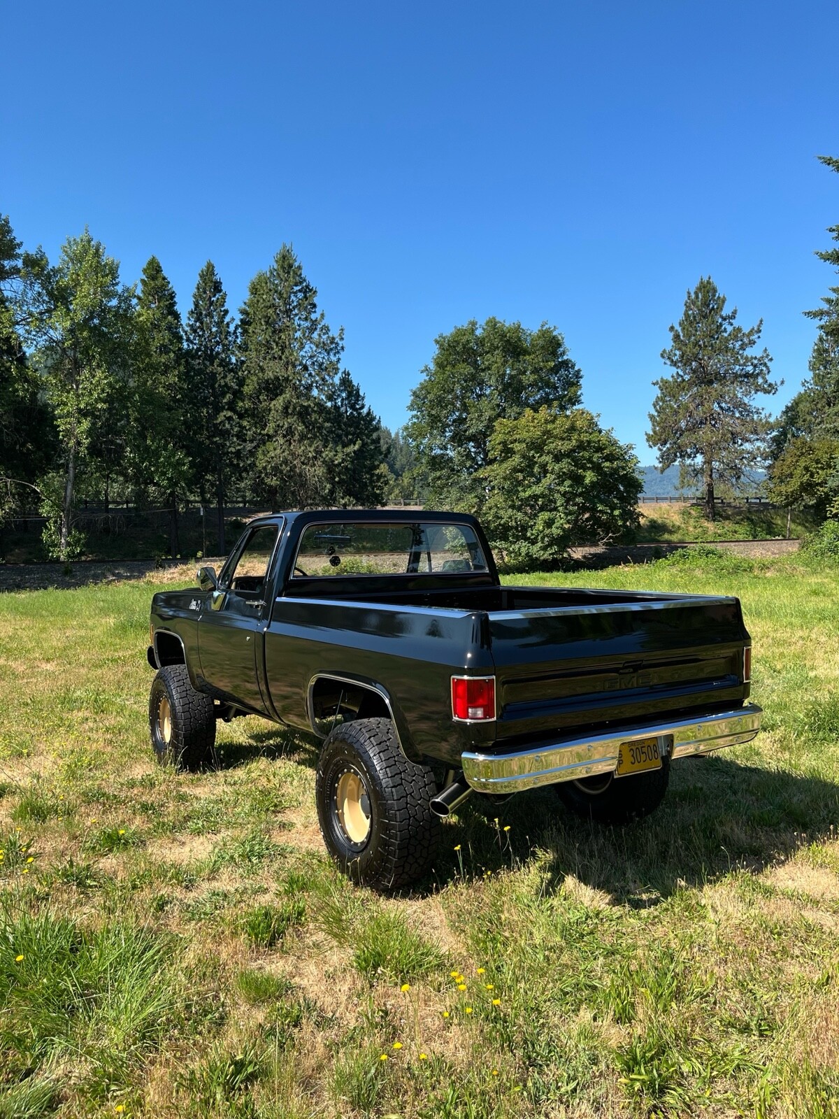 GMC-Sierra-1979-4