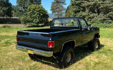 GMC-Sierra-1979-5