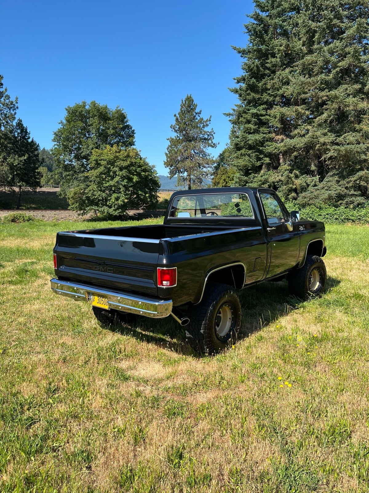 GMC-Sierra-1979-5