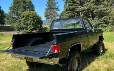 GMC-Sierra-1979-6