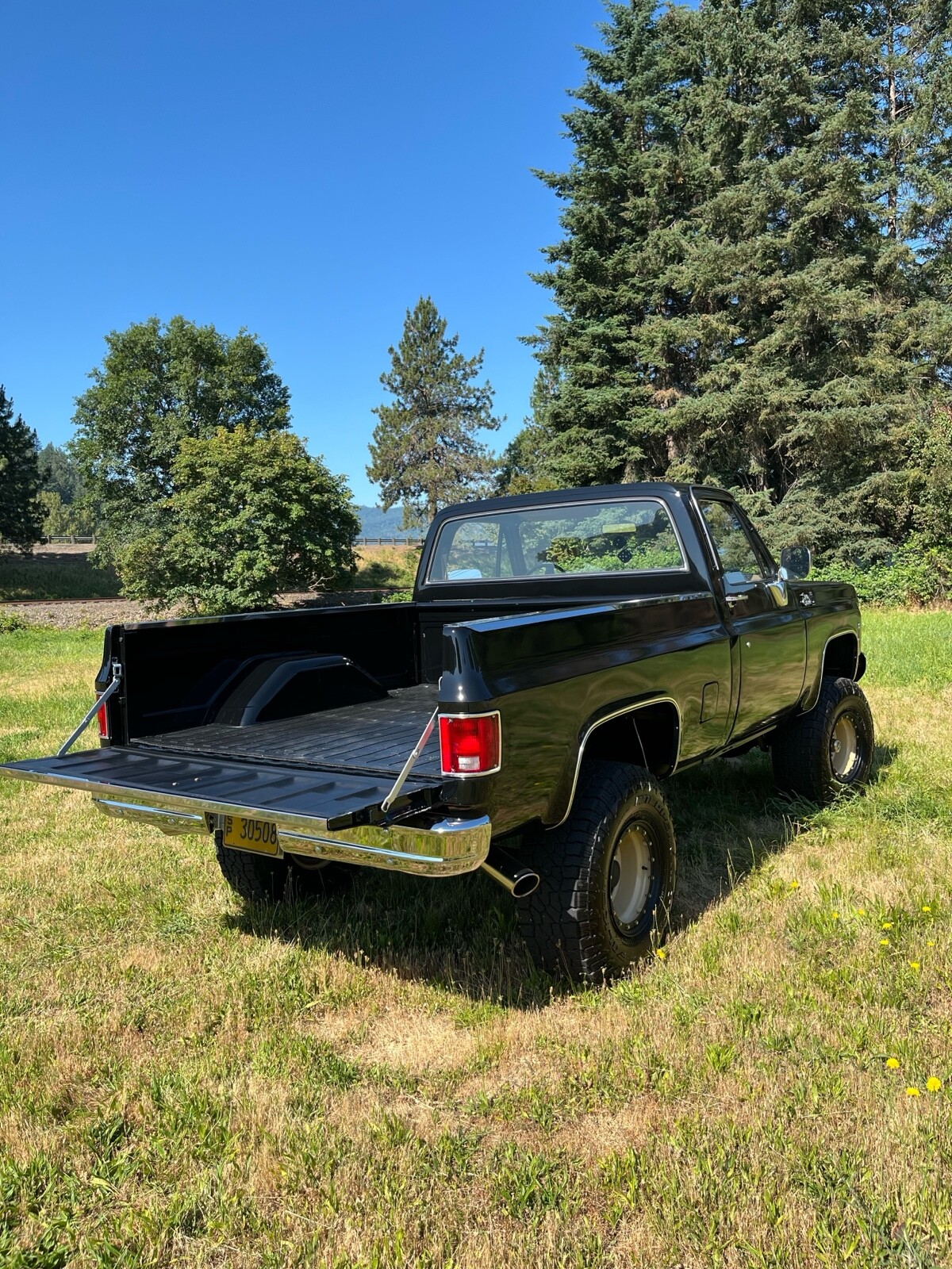 GMC-Sierra-1979-6