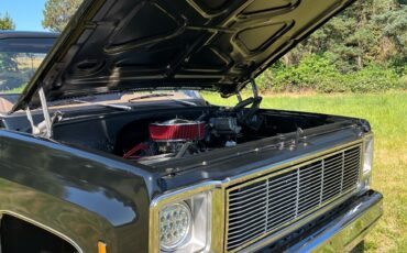 GMC-Sierra-1979-9