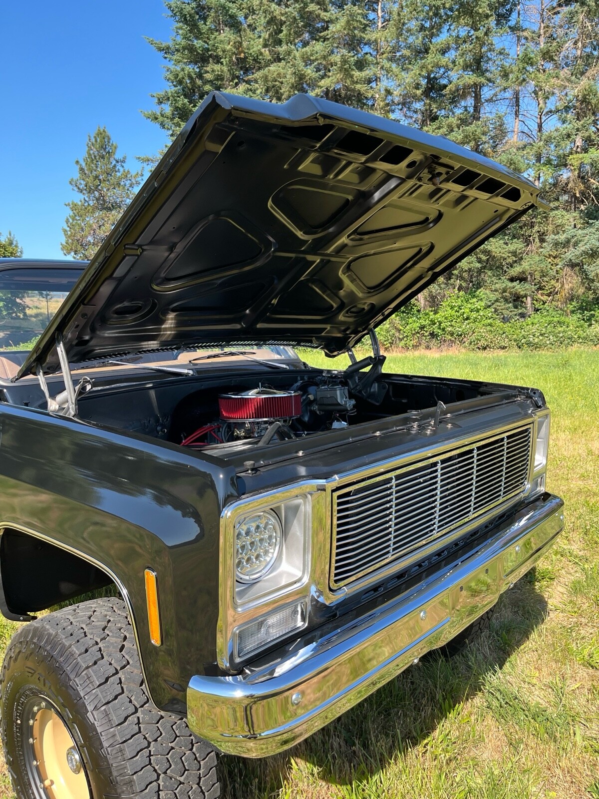 GMC-Sierra-1979-9