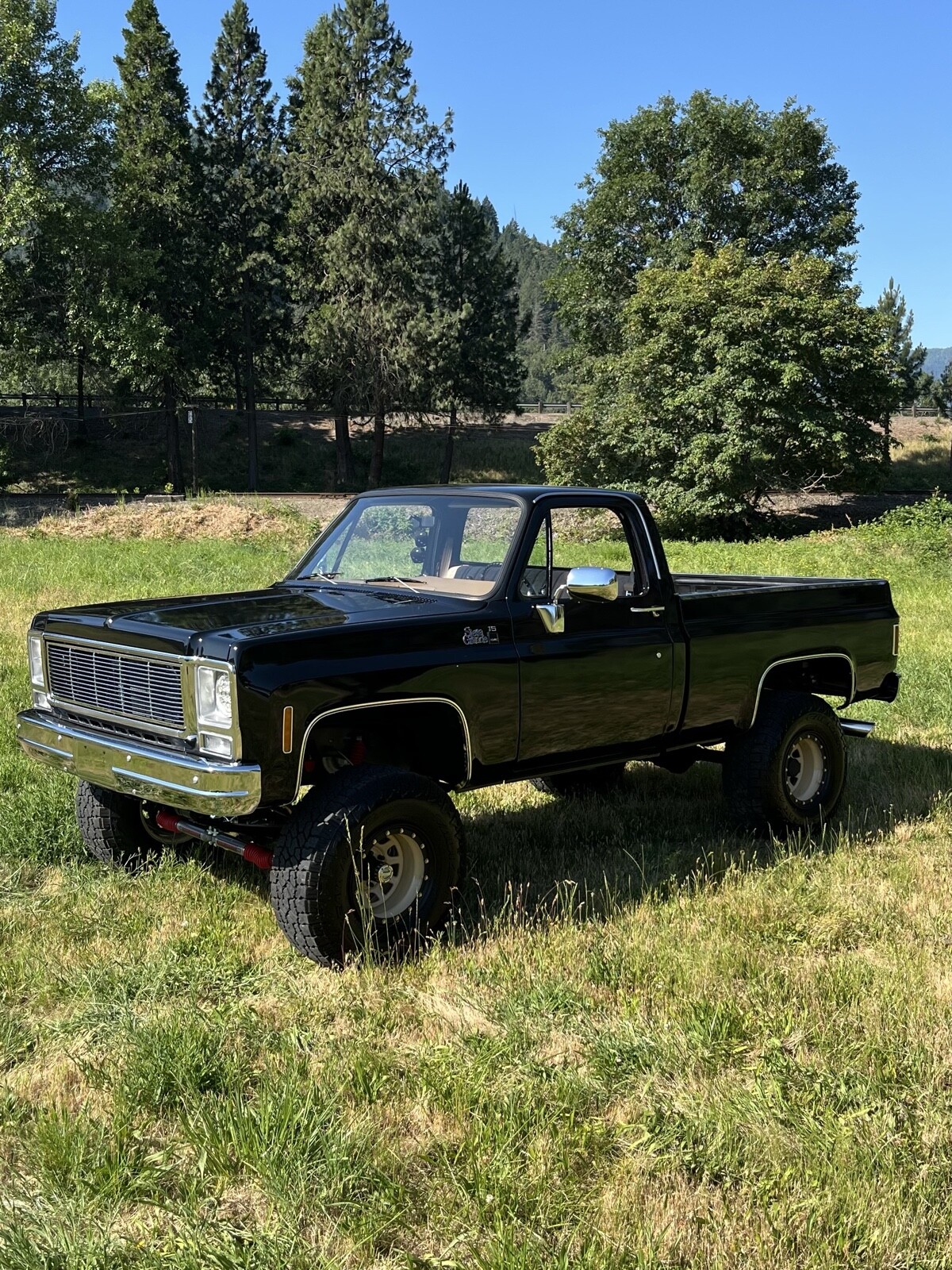 GMC Sierra 1979